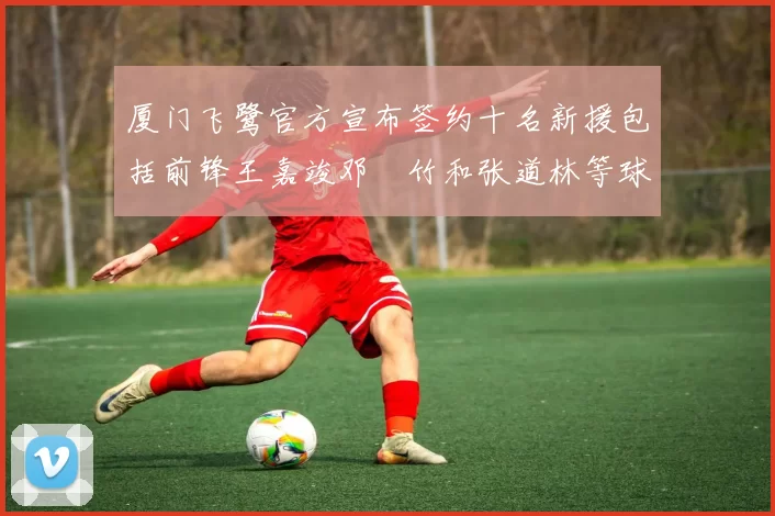 厦门飞鹭官方宣布签约十名新援包括前锋王嘉竣邓棽竹和张道林等球员
