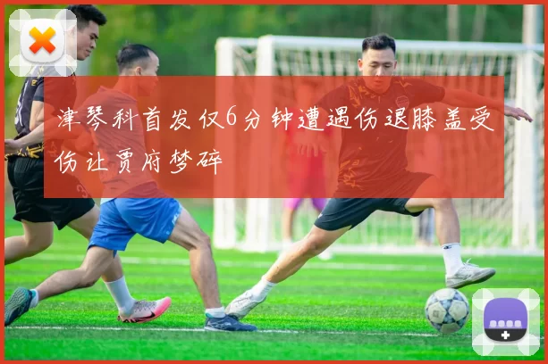 津琴科首发仅6分钟遭遇伤退膝盖受伤让贾府梦碎