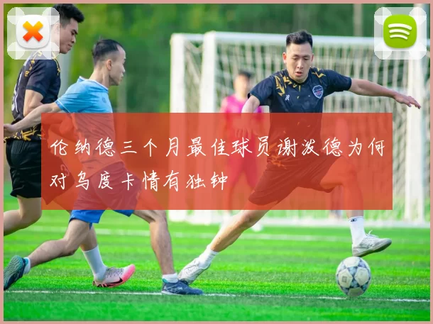 伦纳德三个月最佳球员谢泼德为何对乌度卡情有独钟